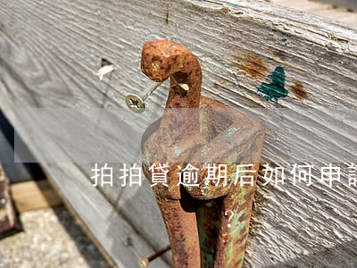 拍拍貸逾期后如何申請(qǐng)停催？